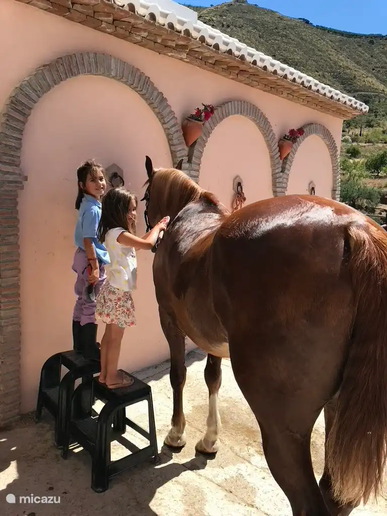 Reiten auf dem Hípica Molina.