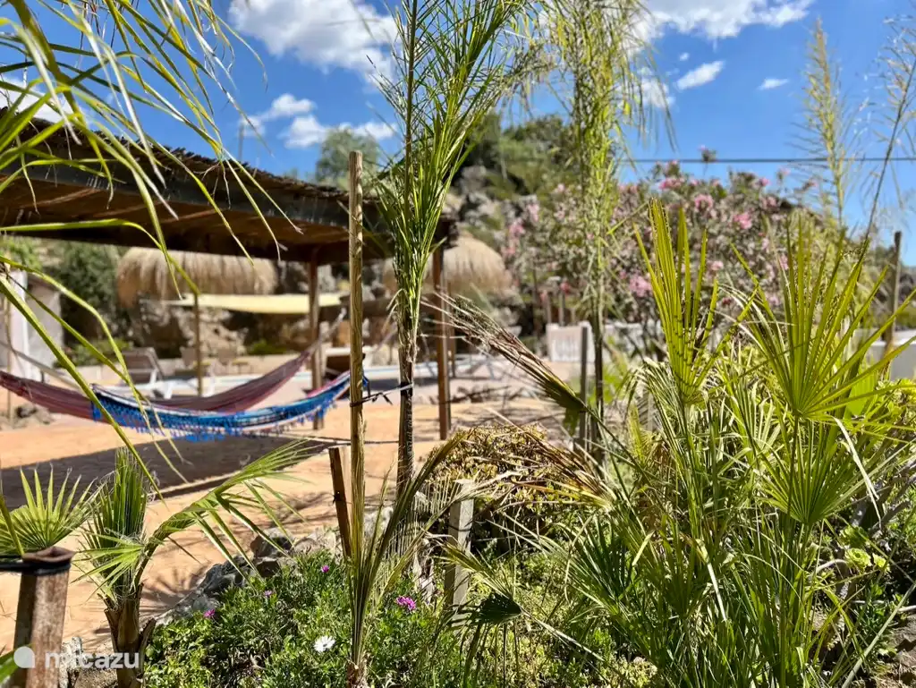 Entspannen Sie sich in den Hängematten