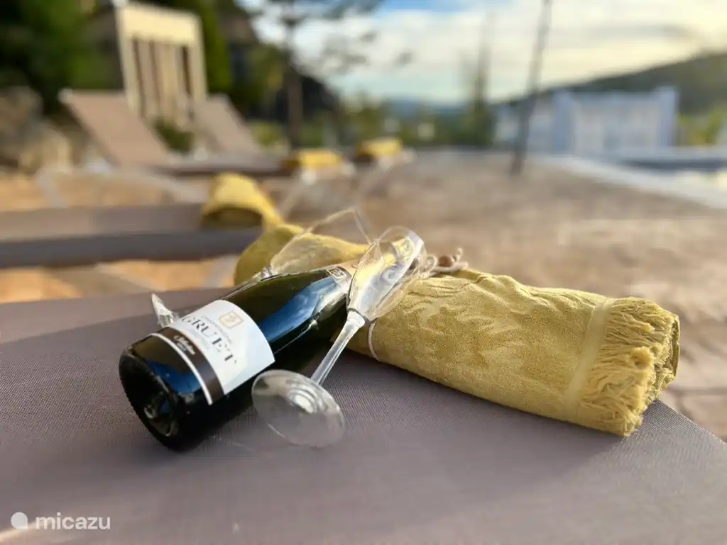 Blick auf den Garten und den Pool von der entspannenden Lounge aus  