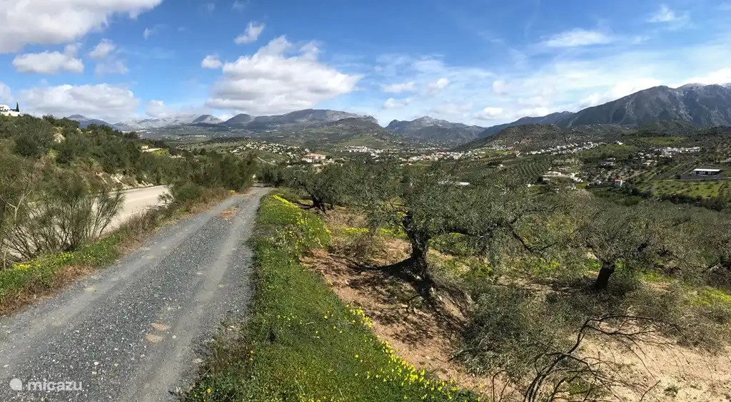 Blick auf das Tal von Alcaucín