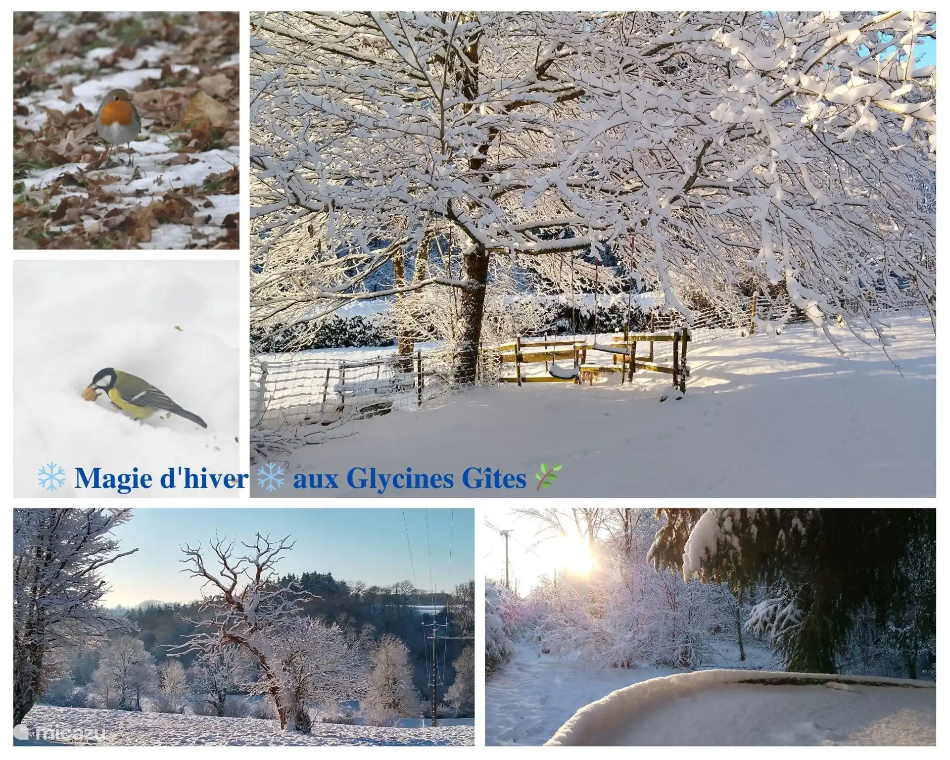 Wintermagie bij onze gîtes