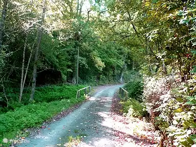 Viele Wanderungen und Fahrten direkt vor der Haustür