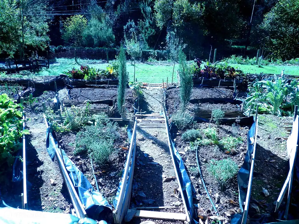 Frisches Gemüse verfügbar