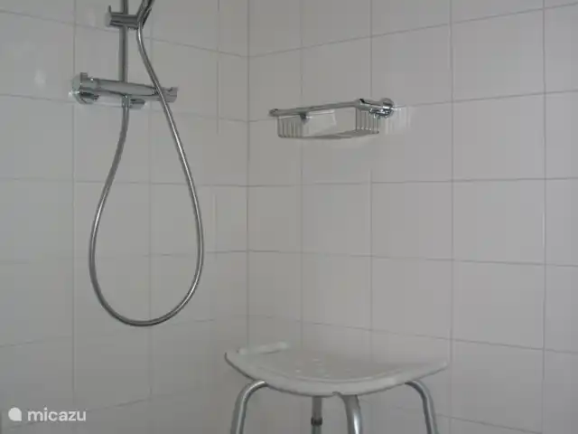 't Juttendel | Pays-Bas, Drenthe, Ruinen - maison de vacances La salle de douche a à la fois une pluie et une douche à main.