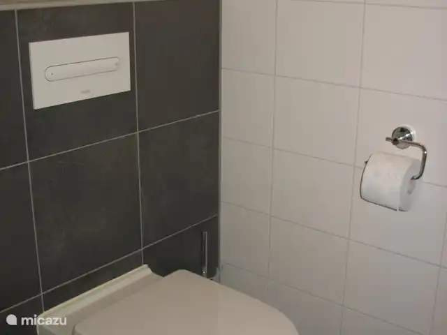 't Juttendel | Pays-Bas, Drenthe, Ruinen - maison de vacances WC moderne.