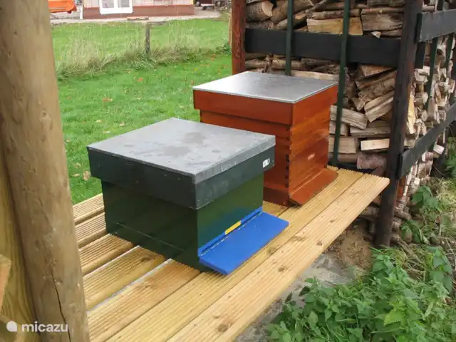 't Juttendel | Pays-Bas, Drenthe, Ruinen - maison de vacances Ruches chacune avec une colonie d'abeilles d'environ 40 000 abeilles.