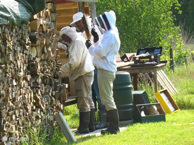 't Juttendel | Pays-Bas, Drenthe, Ruinen - maison de vacances Les apiculteurs inspectent les ruches.