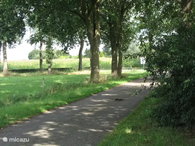 't Juttendel | Pays-Bas, Drenthe, Ruinen - maison de vacances L'Armstraat avec vue sur les Ruiner es.