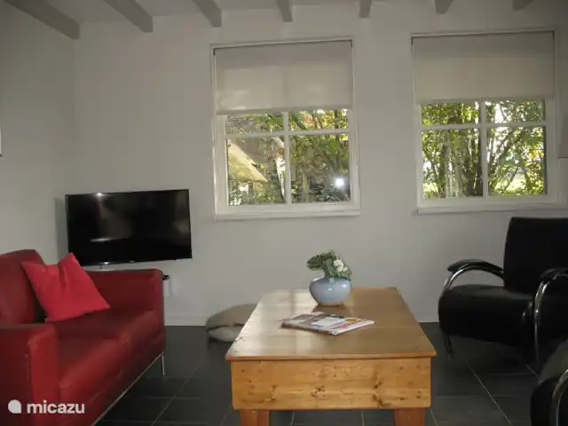 't Juttendel | Pays-Bas, Drenthe, Ruinen - maison de vacances TV écran plat avec au moins 50 chaînes et radio.