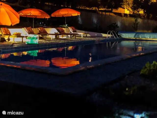 Quinta d'Alegria | Portugal, Coimbra, Tábua - ferme Vous pourrez vous rafraîchir dans la grande piscine (14mx15m) et sur la terrasse adjacente vous pourrez profiter du soleil. Nous sommes heureux de vous servir un délicieux cocktail frais de notre bar extérieur !
