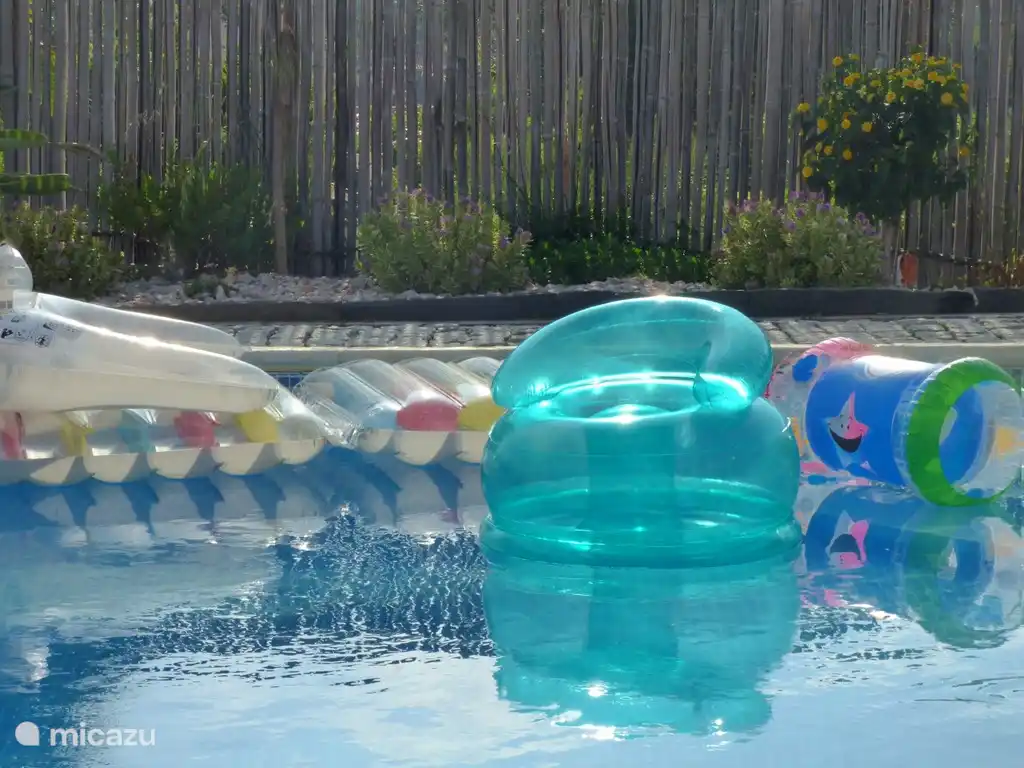 Im großen Schwimmbad (14mx15m) können Sie sich erfrischen.