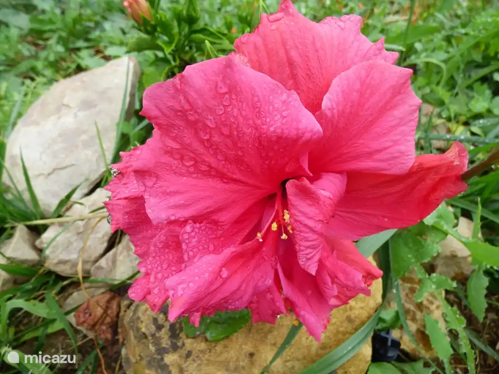 Liebe zum Detail ist uns sehr wichtig.