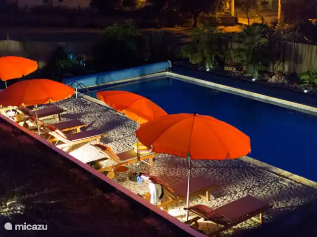 Quinta d'Alegria | Portugal, Coimbra, Tábua - ferme Vous pourrez vous rafraîchir dans la grande piscine (14mx15m) et sur la terrasse adjacente vous pourrez profiter du soleil.