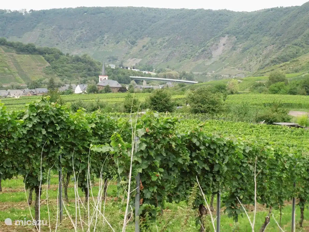 &#161;El Mosela est&#225; cerca!