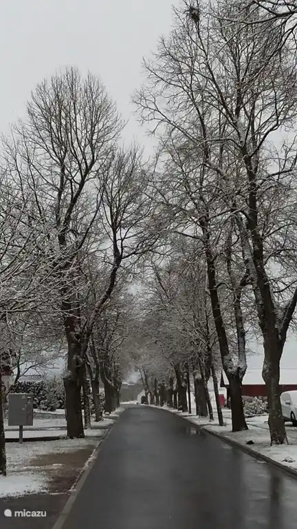 Hunolstein en invierno