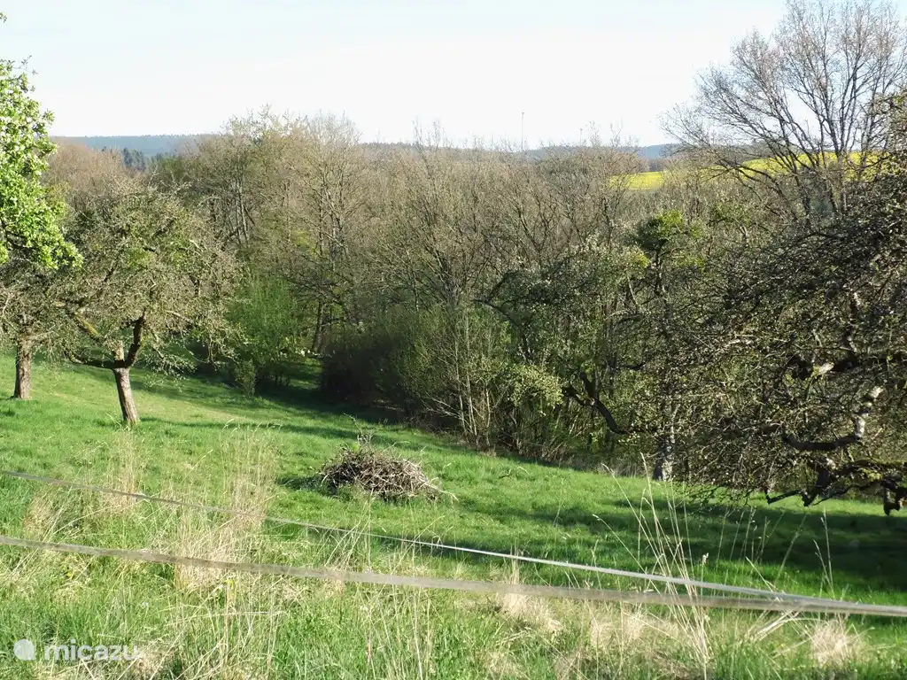 Vista al jard&#237;n