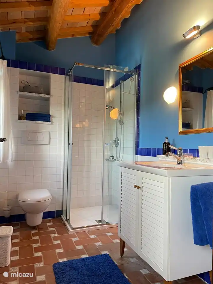 the 2nd bathroom with shower, toilet and sink cabinet