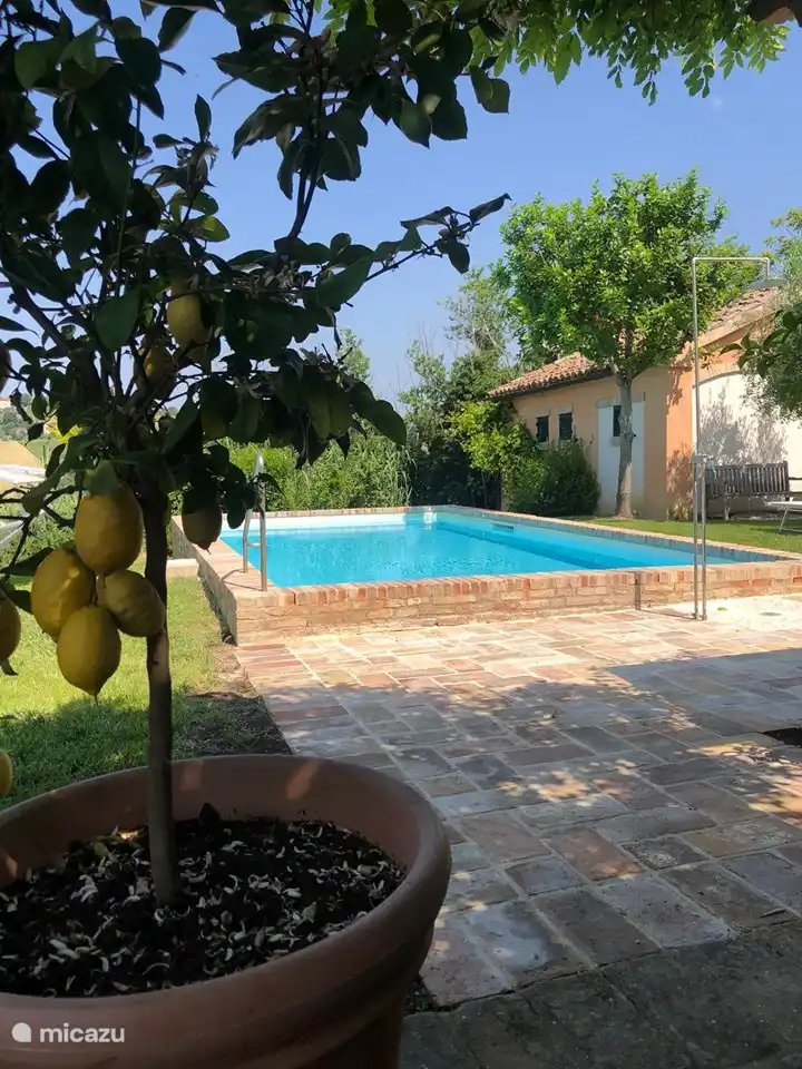 swimming pool overlooking garage
