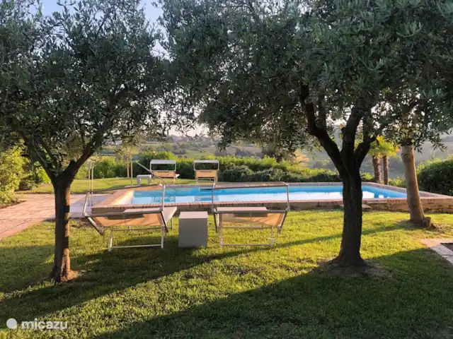 Casa Santa Maria Nuova Le Marche | Italie, Marche, Ostra Vetere - maison de vacances lits au bord de la piscine sous les oliviers