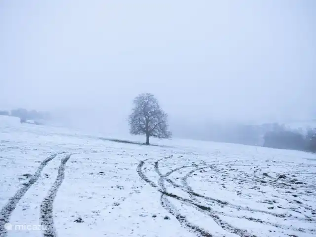 Villa Bièvres en Francia, Árdenas francesas, Bièvres  - casa vacacional Invierno en Bièvres.
