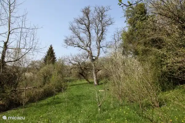 Villa Bi&#232;vres en Francia, &#193;rdenas francesas, Bi&#232;vres  - Casa vacacional