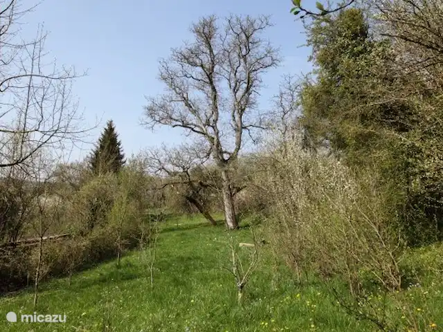 Villa Bièvres en Francia, Árdenas francesas, Bièvres  - casa vacacional La casa dispone de un huerto donde poder estar tranquilo. Hay cerezos, manzanos, perales y ciruelos y un nogal milenario.