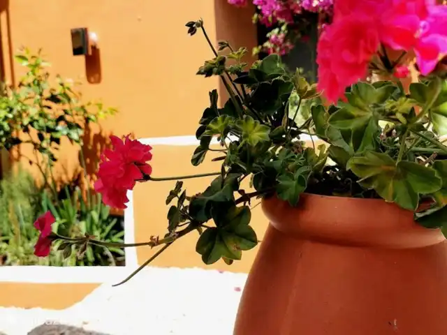 Casa de montaña Casa Cancelinha en Portugal, Coímbra, Góis - alojamiento y desayuno el jardin interior
