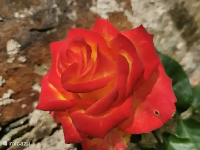 Casa de montaña Casa Cancelinha en Portugal, Coímbra, Góis - alojamiento y desayuno