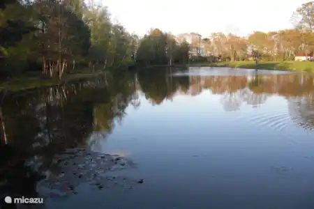 Vakantiehuis Nederland, Overijssel, Denekamp vakantiehuis LuxeVakantiebungalow28DenekampTwente Visvijver op het park