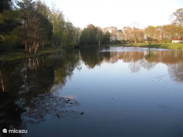 LuxeVak.bungalow 28 Twente AIRCO | Pays-Bas, Overijssel, Denekamp - maison de vacances Étang à poissons dans le parc