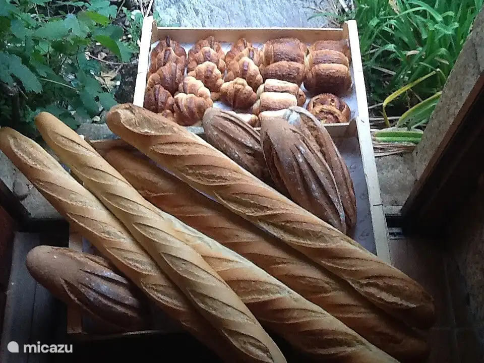 Frisches Brot an die Haustür (Juli / August)