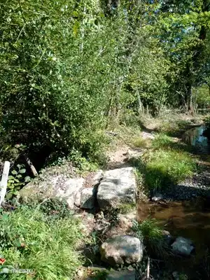 Große Wanderungen direkt vor der Haustür