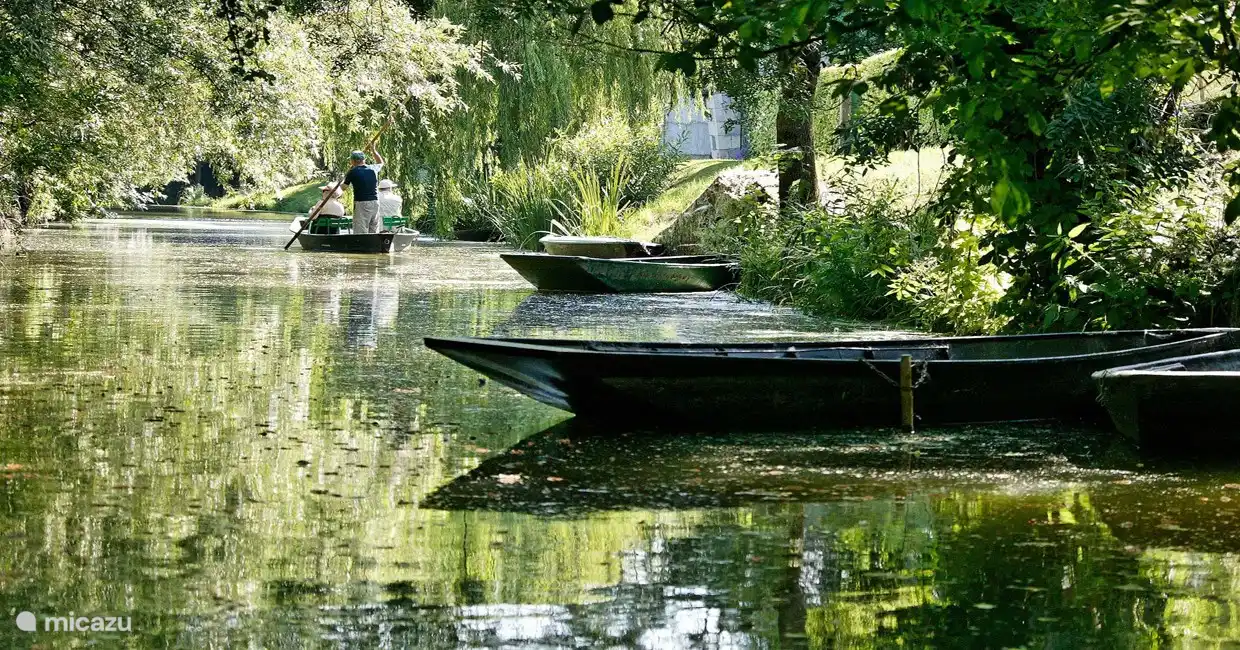 Paddeln auf dem Marais Poitevin (30 min)