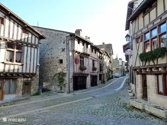 Mittelalterlicher Parthenay (30 min)