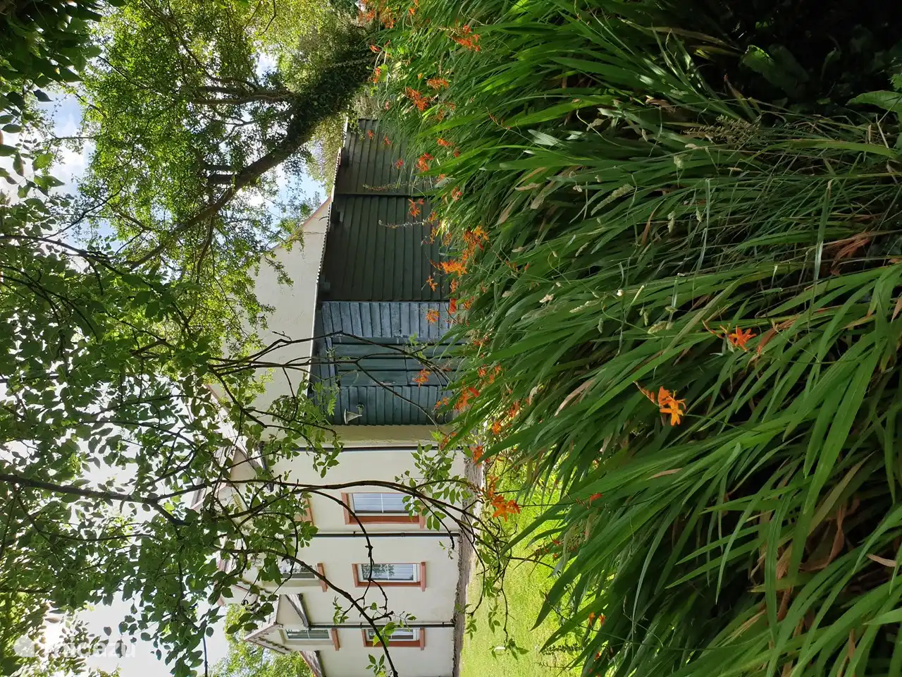 Scottish Garden in Ireland, Kerry, Sneem - Holiday house
