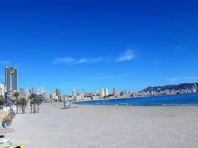 BELLA VISTA 1ère ligne, la plus belle/délicieuse | Espagne, Costa Blanca, El Campello - appartement La très grande plage d'El Campello