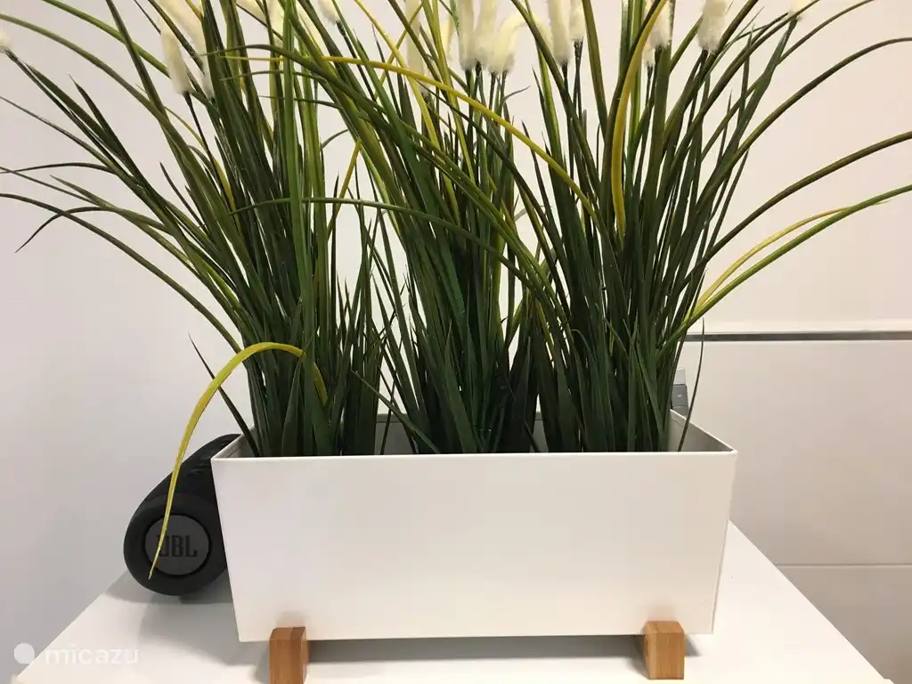 JBL Bluetooth-Lautsprecher