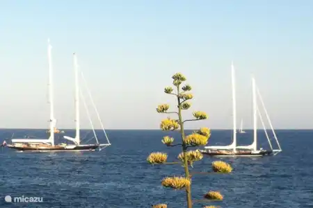 Vakantiehuis Spanje, Ibiza, Ibiza Stad geschakelde woning Can Vista Mar Zicht vanaf zonnedek