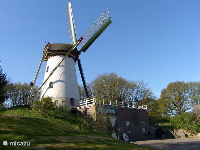 Holiday home in Netherlands, Limburg, Afferden - mill Flour mill Nooitgedacht