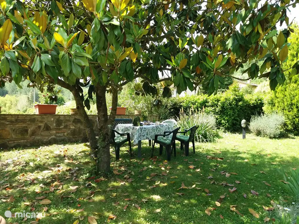 Breakfast in the garden