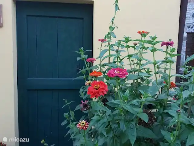 appartement huren in Italië, Toscane, Montaione – Magnolia Zinnia voor de deur van het bakhuisje
