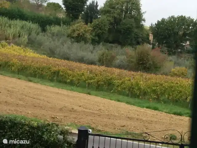 appartement huren in Italië, Toscane, Montaione – Magnolia Uitzicht vanuit de tuin