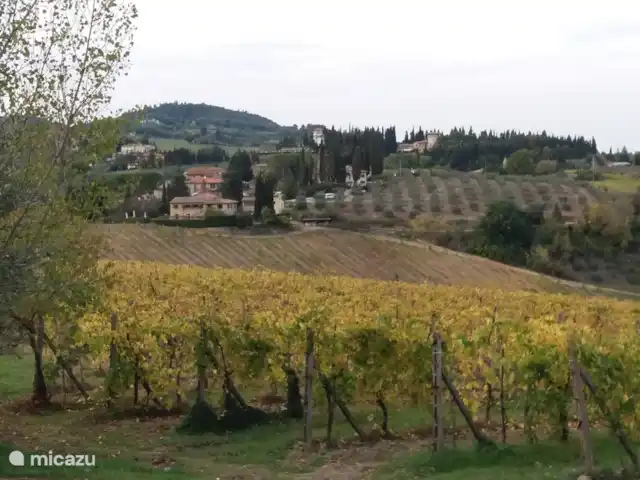 appartement huren in Italië, Toscane, Montaione – Magnolia Toscaans landschap