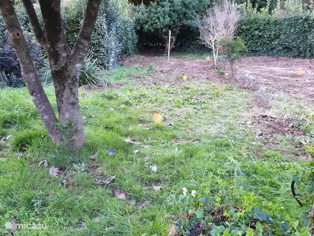 appartement huren in Italië, Toscane, Montaione – Magnolia Vorig jaar is gezamenlijke de tuin gesplitst