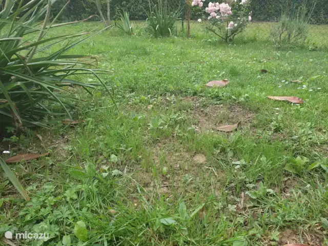 appartement huren in Italië, Toscane, Montaione – Magnolia Dit is de omheinde tuin, klein maar fijn!