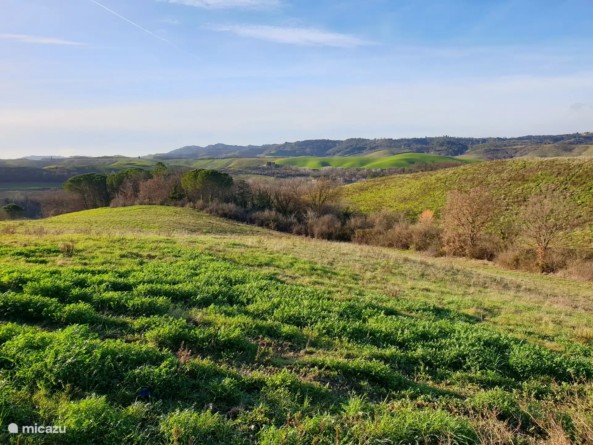 Area of Alberi within walking distance