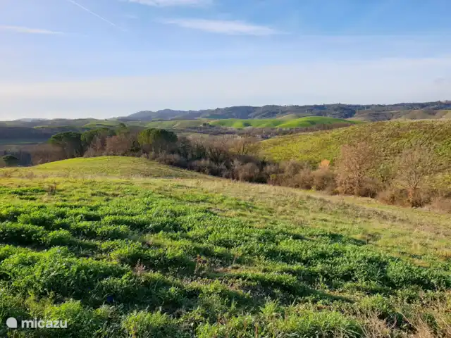 appartement huren in Italië, Toscane, Montaione – Magnolia Omgeving van Alberi op loopafstand