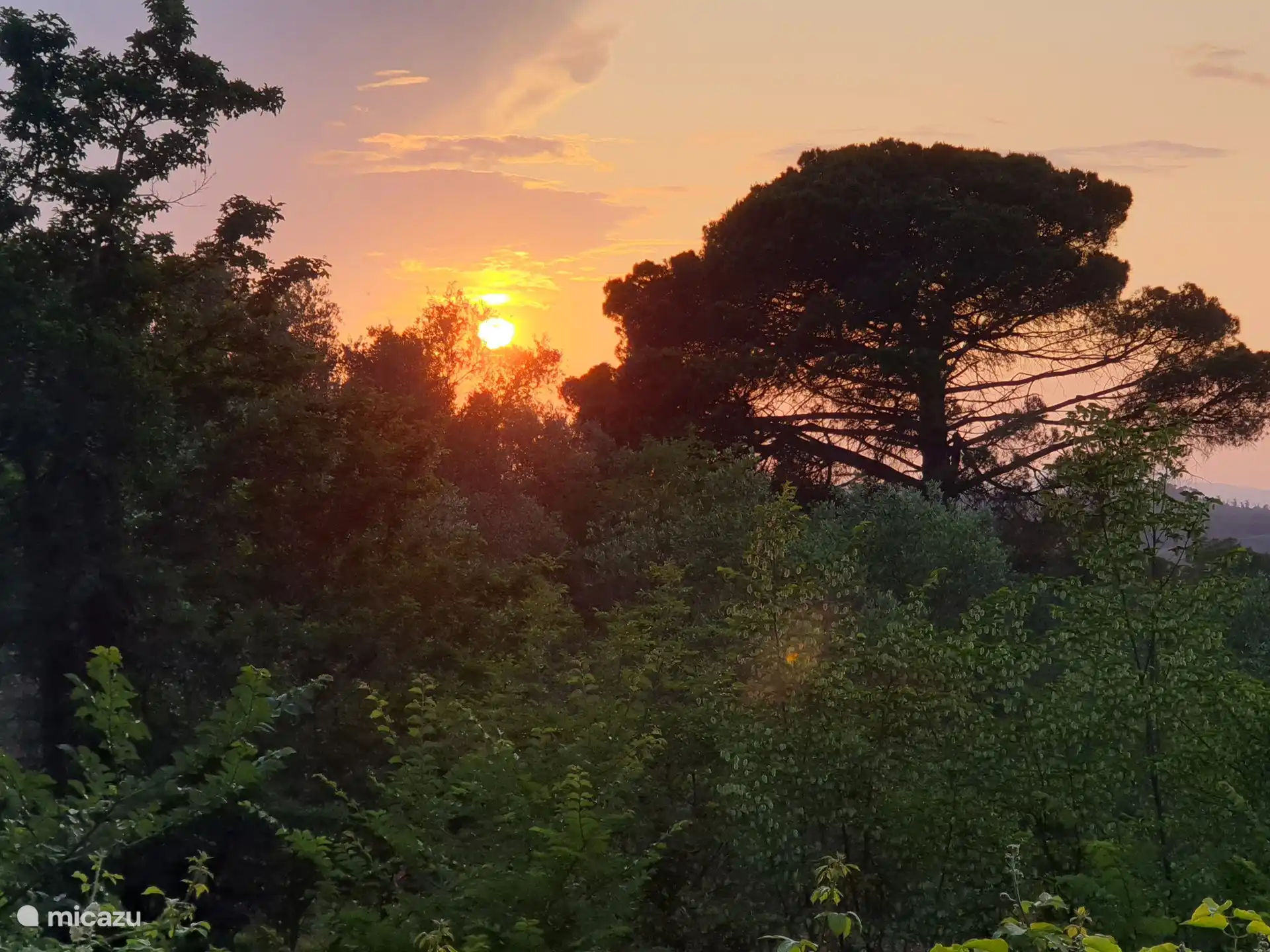 Walk at the end of the day... :-)