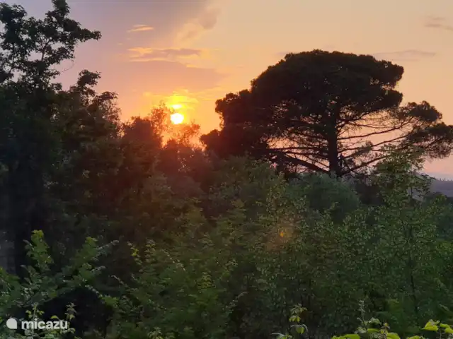 appartement huren in Italië, Toscane, Montaione – Magnolia Wandeling op het einde van de dag... :-)
