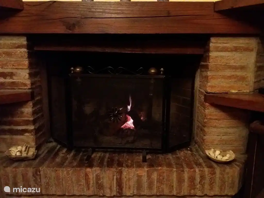 Fireplace in the living room